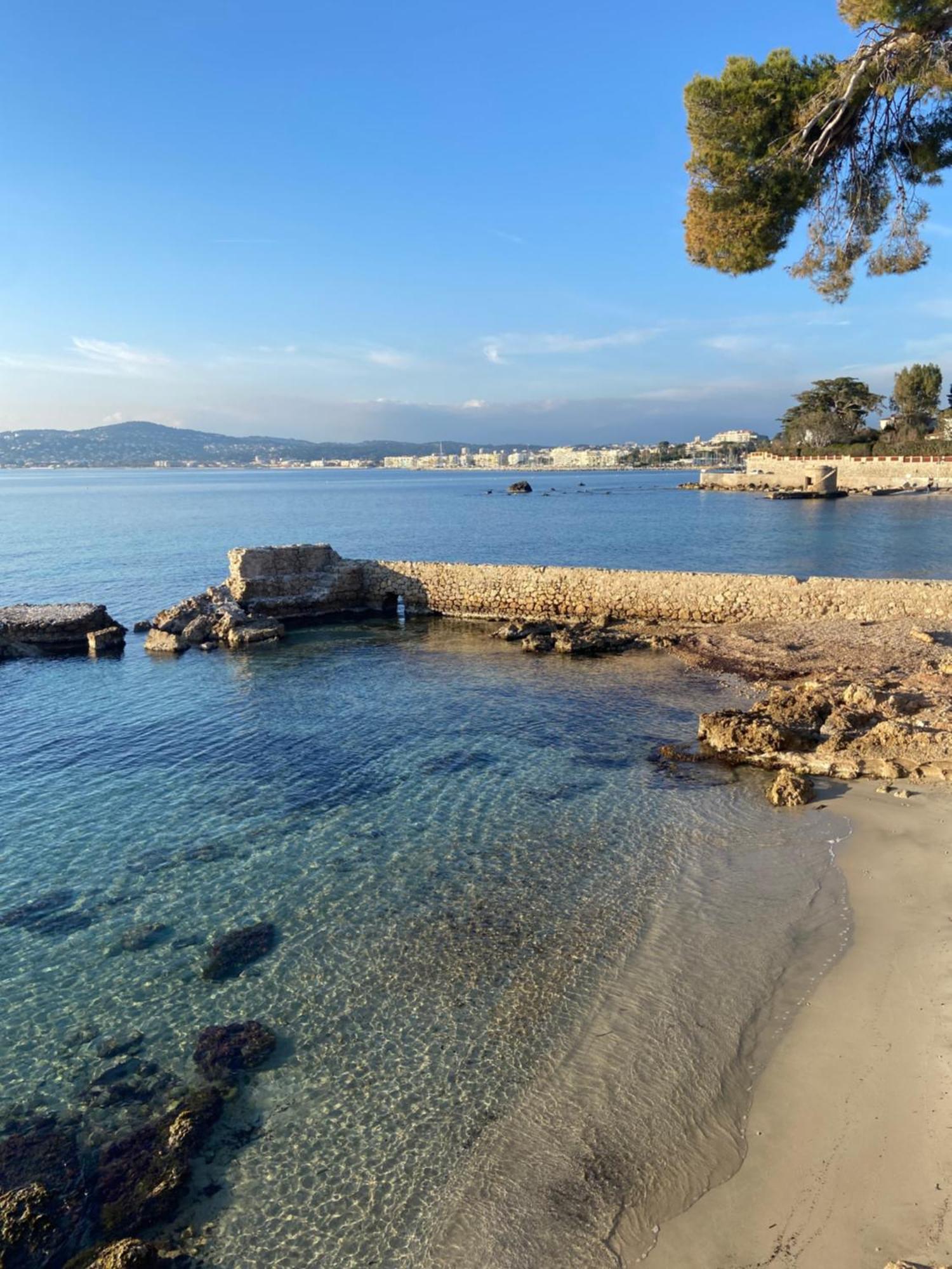 Confortable - Parking Inclus - Proche Juan-les-pins Appartement Antibes